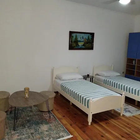 Your * Shkodër